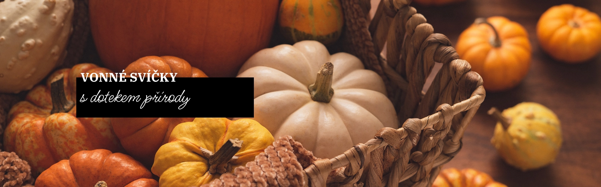 653bd7087d2ad.webp